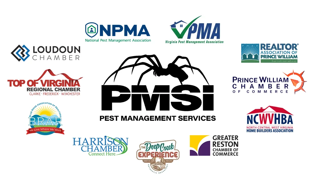 PMSI affiliations