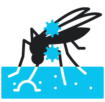 mosquito-buster