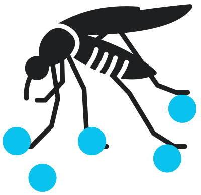 mosquito-buster